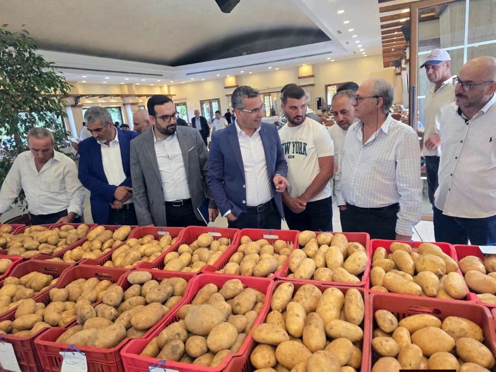 “فاجا”… أكثر من صنف بطاطا جديد! هل يبدأ لبنان معركة الإنقاذ الزراعي من حقول&nbsp;سرعين؟
